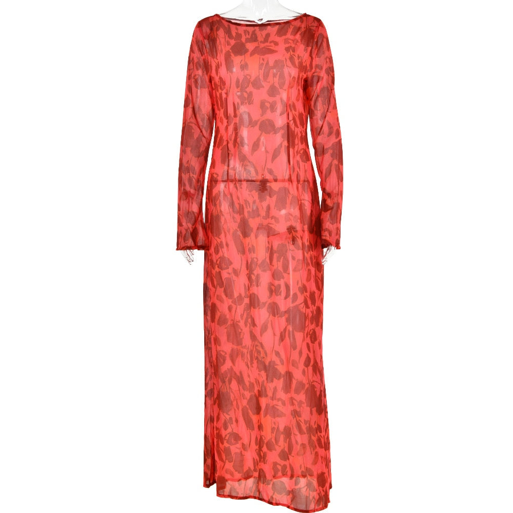 Elegant Zebra Print Maxi Dress for Women Outfits Sexy See Through Long Sleeve Bodycon Club Party Dress 2023 Spring Casual Dress